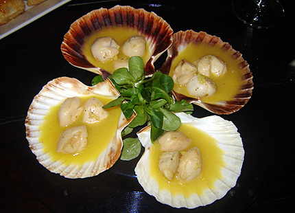 Jakobsmuscheln mit Limettensaft